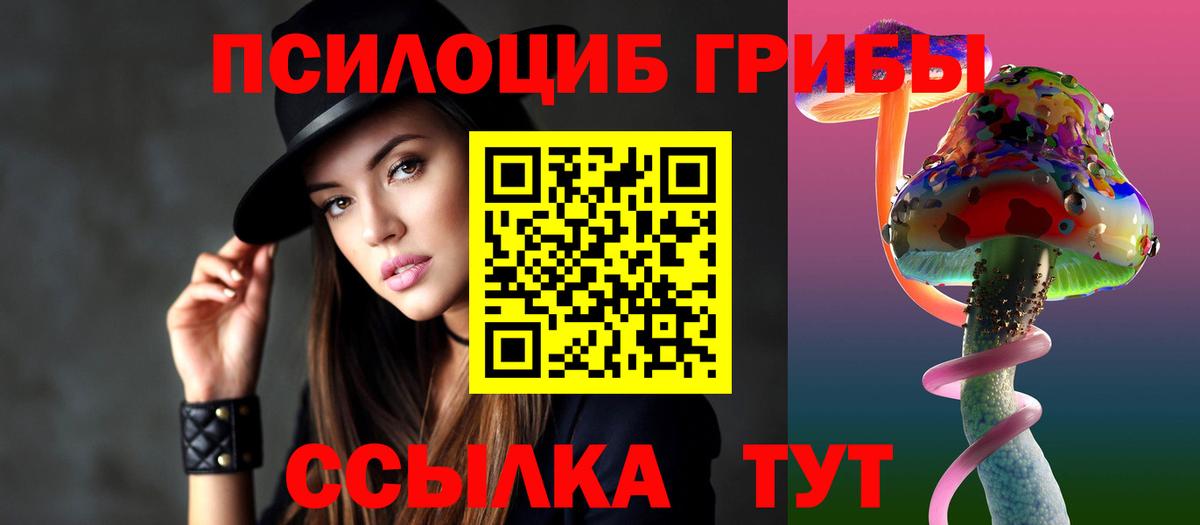Псилоцибиновые грибы мицелий Арсеньев